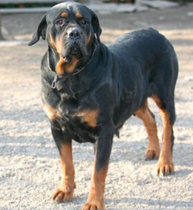 为什么会不高兴,为什么会不知不觉喜欢上一个人