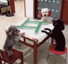 不联系的同学借钱怎么高情商回复,怎么回复借钱的同学