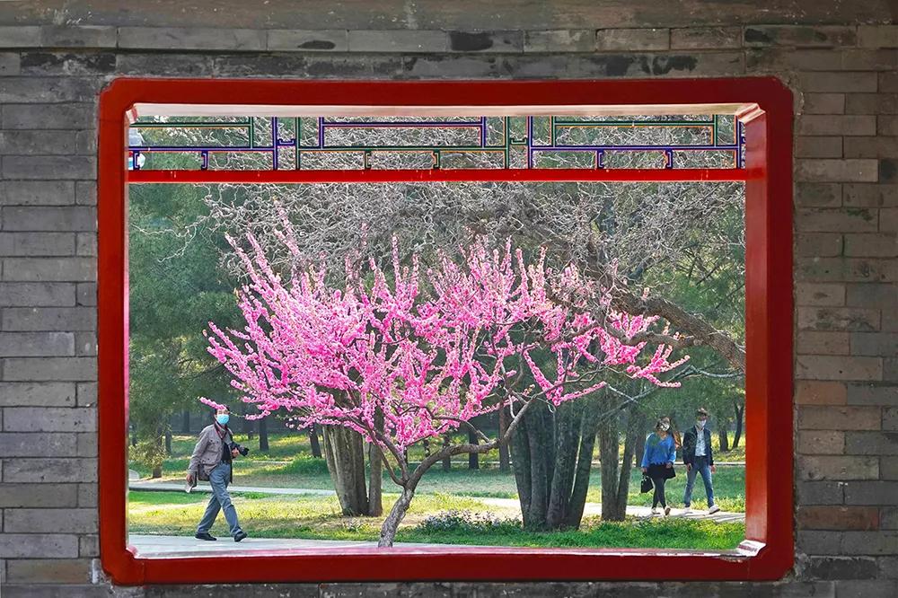 四月发生的事,东城发生的事