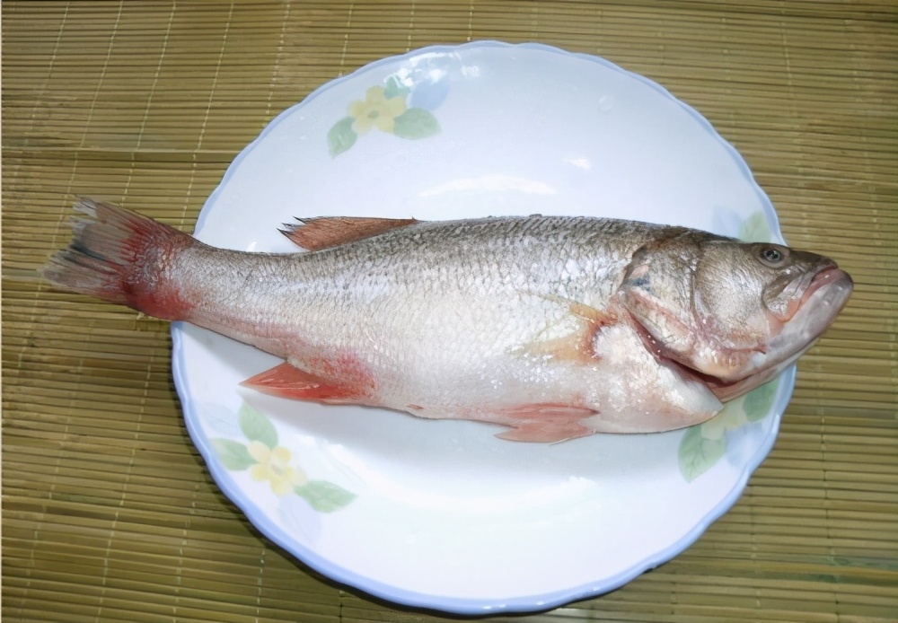 怎么选鲈鱼才是最好的,怎么挑选市场上卖的鲈鱼