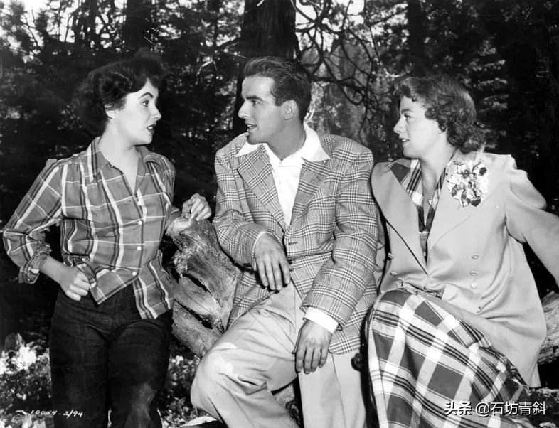 郎心似铁阿欣谁演的,郎心似铁伊丽莎白泰勒