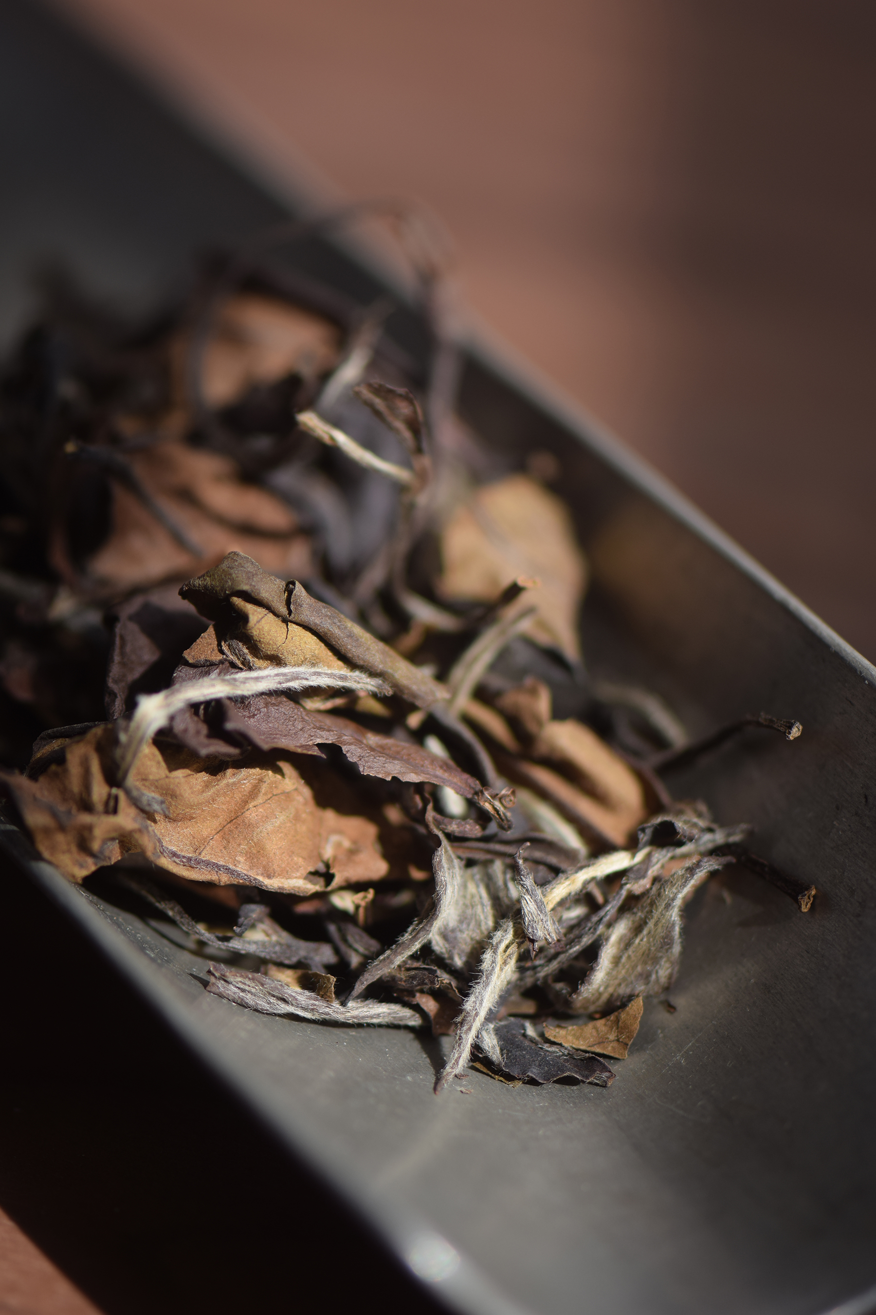 从业十年我所经历的火爆和低迷,茶行业真实揭露