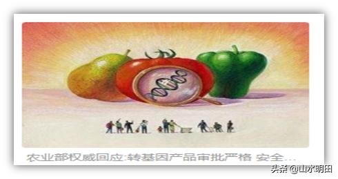 你常吃的蔬菜居然是甲醛泡出来的,你经常吃的水果是低糖的水果吗