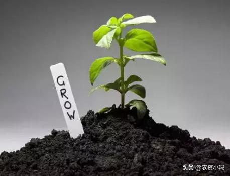 枯草芽孢杆菌能与杀菌剂混用吗,枯草芽孢杆菌能和杀菌剂混用吗