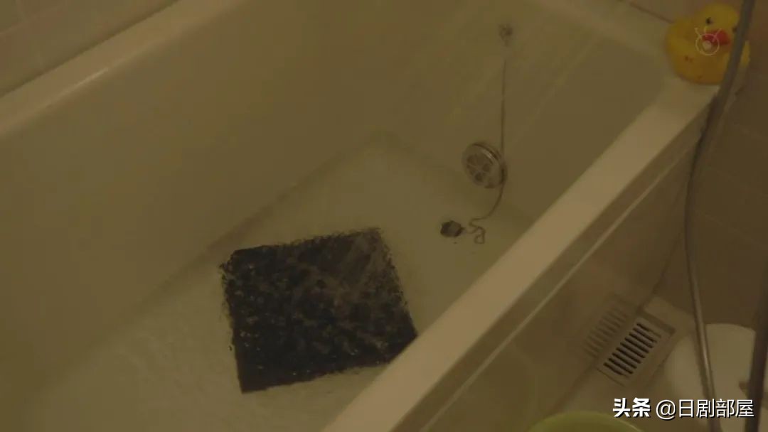 醒来发现妻子换了个人,又一部反婚反育日剧?