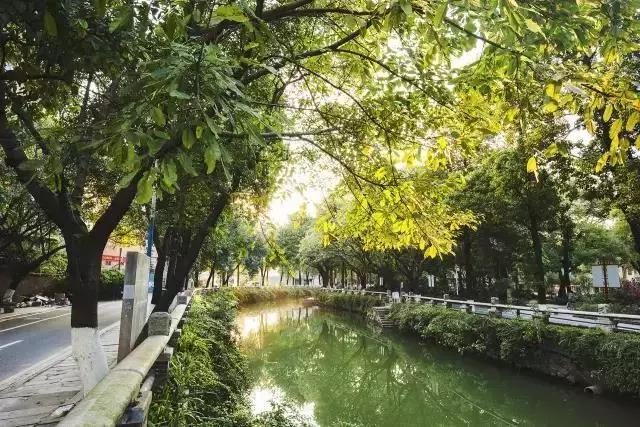 4轨交汇！芳村将华丽大变身！但老芳村正在慢慢消失…