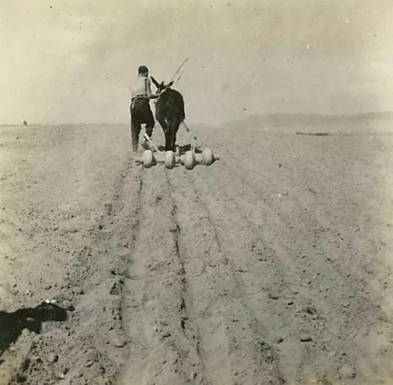 你可能没见过的姓氏,你可能没见过的日语