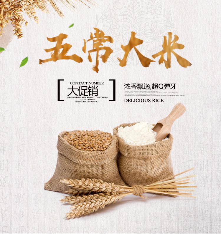 稻花香五常大米为什么这么香?好在哪里?