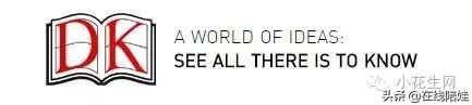 dk知识大百科全套,dk知识大百科书金银版