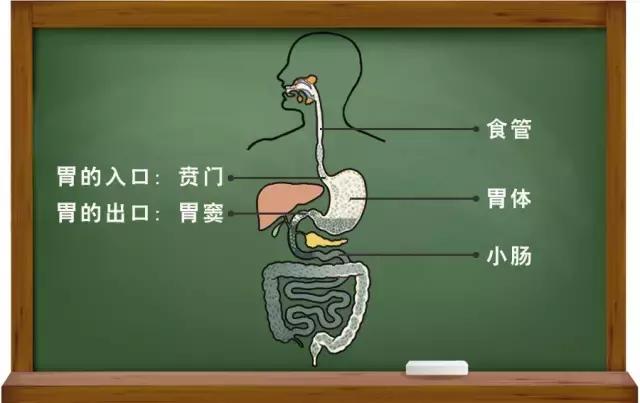 最难治的胃癌是什么,最难治的早期胃癌是什么胃癌呢