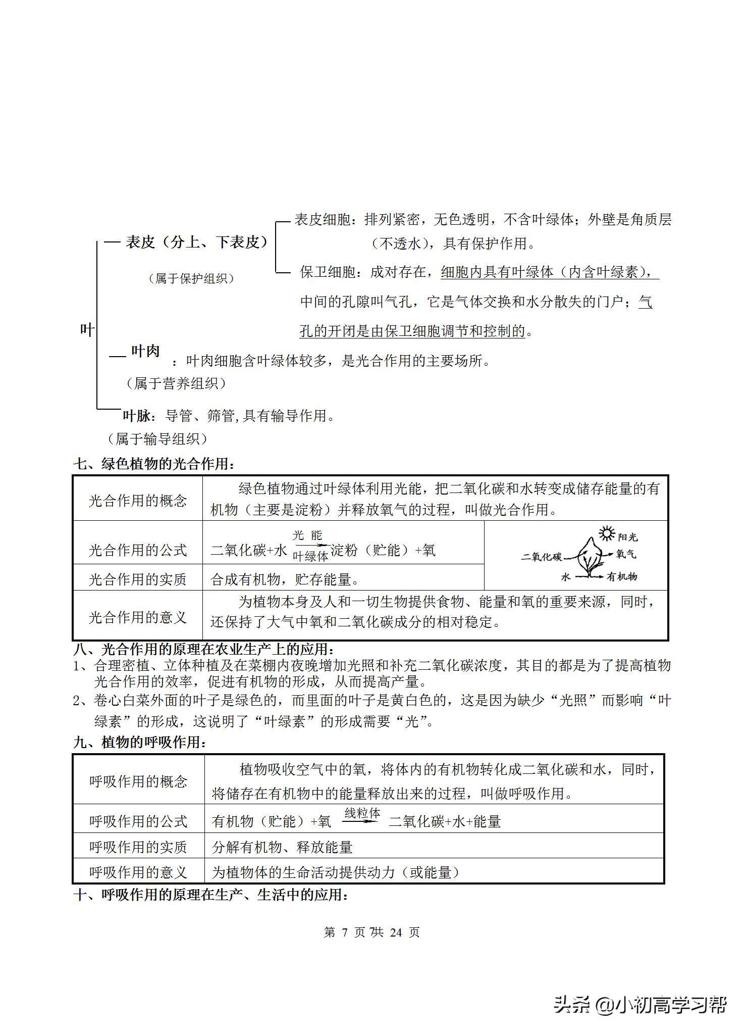 中考生物复习资料大全免费,2022中考生物必考知识点总结