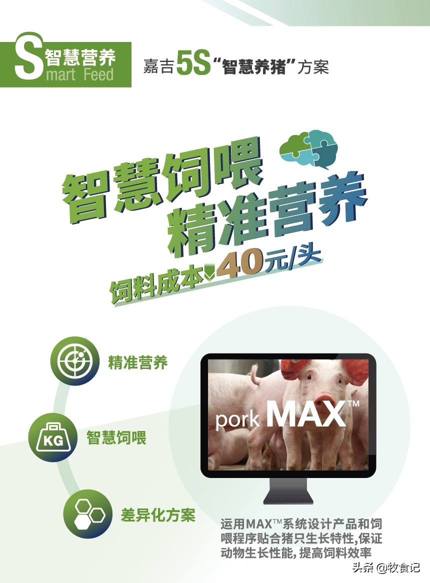 嘉吉动物营养成功案例,嘉吉动物营养最新消息