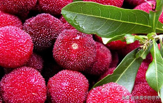 贵州黔东南苗族侗族自治州特产,贵州中国美食介绍