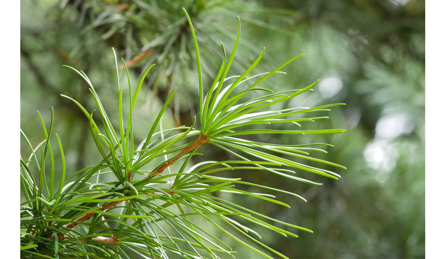 美妆大赏视频,美妆大赏遮瑕