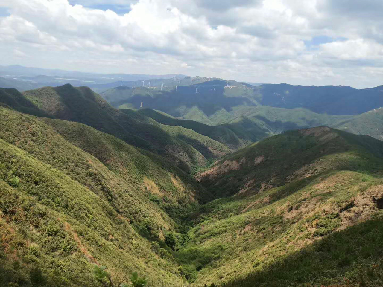 盛夏特约|金色螳螂川徒步笔架山赏向日葵花海