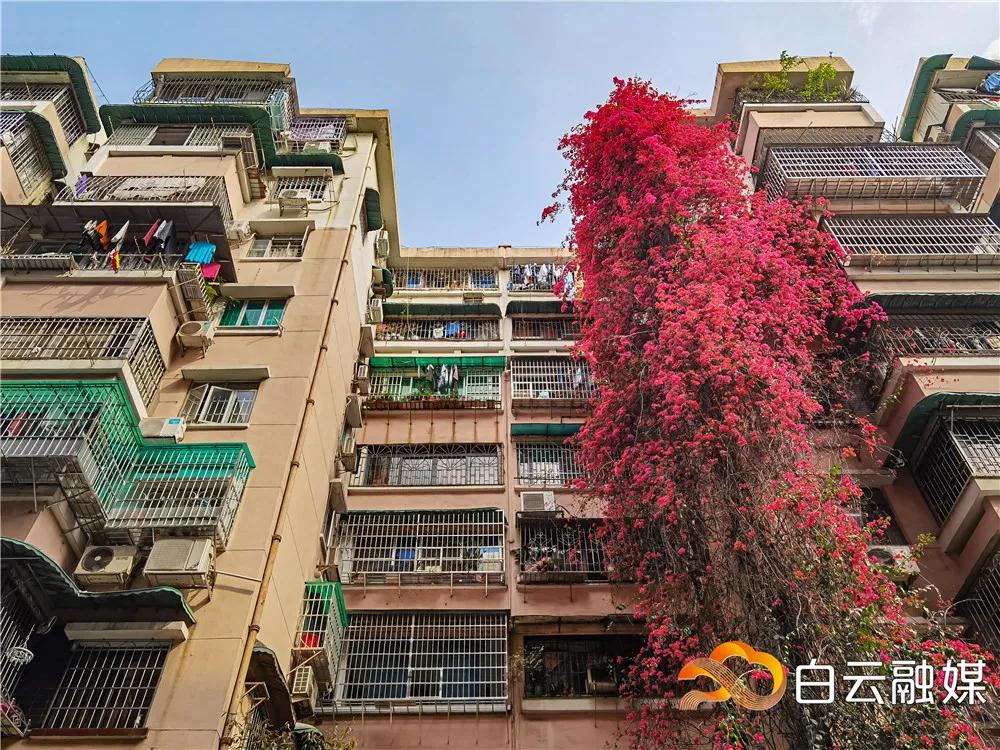 白云看起来很低说明什么,白云看清了自己