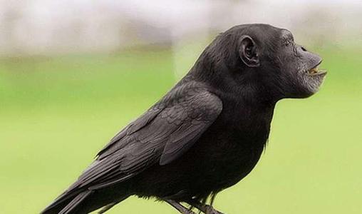 经典语录搞笑幽默句子短句,正能量霸气幽默短句子搞笑版