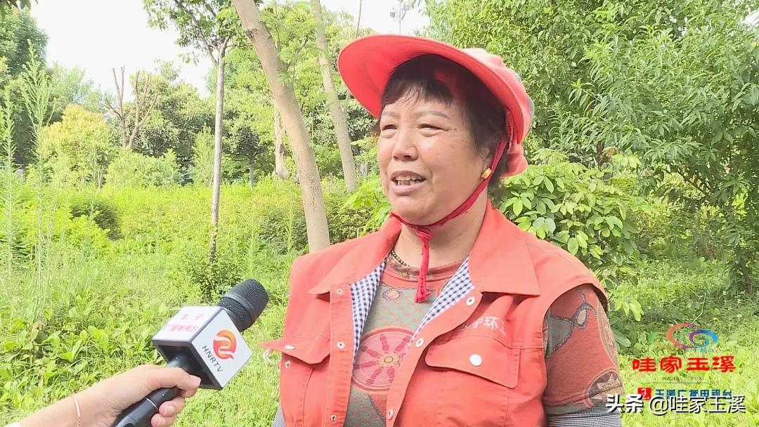 百名劳动者畅谈百年丨李从英：美丽的“城市黄玫瑰”