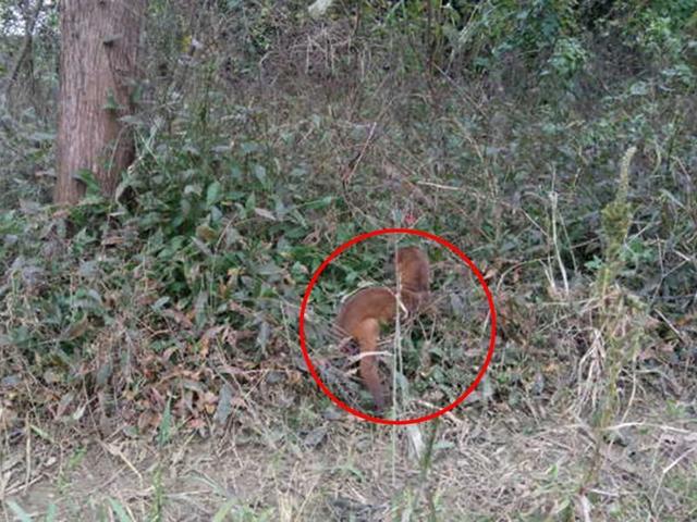 没养殖搞什么最赚钱呢,创业养小龙虾遇到的困难和问题