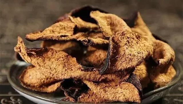 气血两亏痰湿较盛用什么中药调理,女性肾气虚脾胃湿热是什么原因