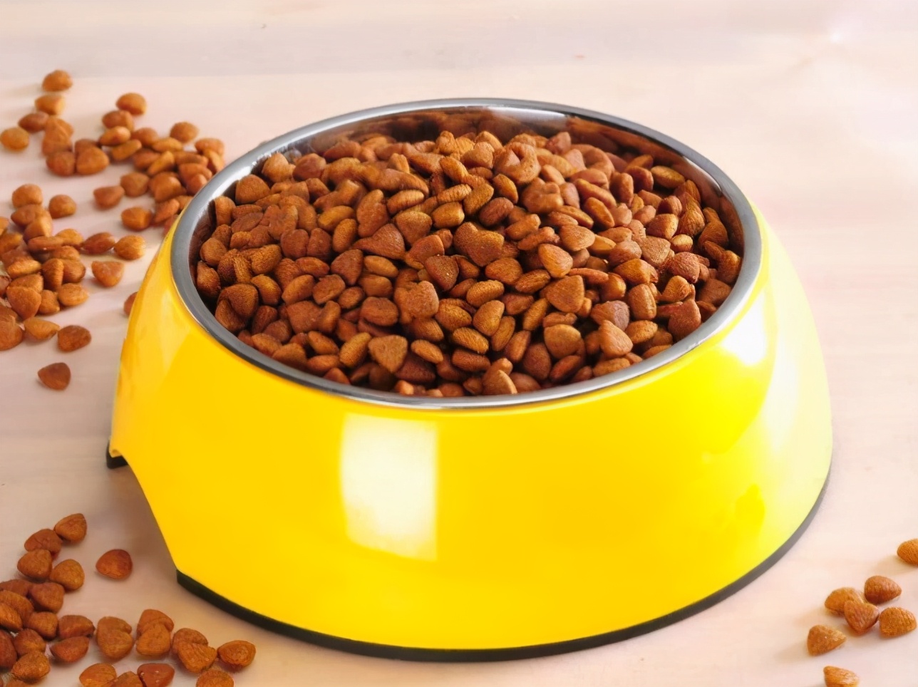 博美犬吃什么牌子狗粮好一点,博美犬吃哪个牌子狗粮比较好