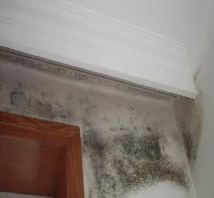 底楼抬高怎么防潮,底楼太潮湿怎么做防潮