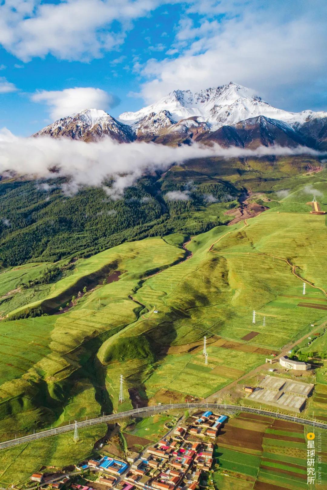 中国植树造林成果国外有什么看法,植树造林改造沙漠