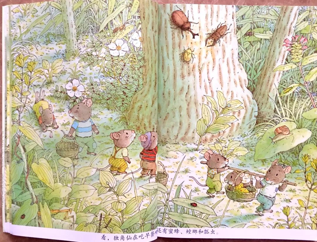 有声绘本故事14只老鼠去春游,有声绘本14只老鼠过冬