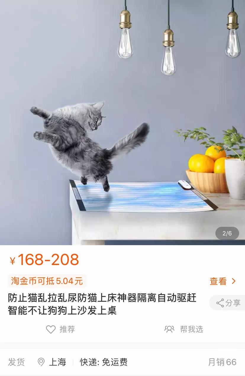 猫乱尿怎么办视频最火,猫乱尿怎么办有什么办法