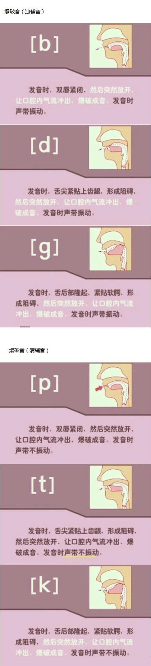 英语音标n的发音,英语音标发音图解读