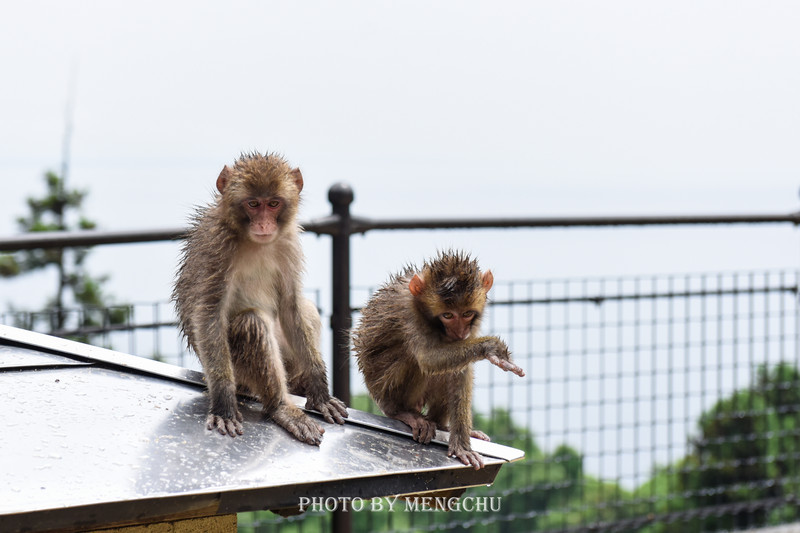 日本小众温泉攻略,日本旅游哪的温泉最好