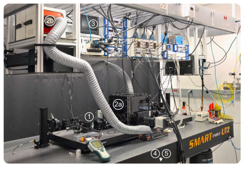 鹦鹉胚胎发育图,早期胚胎的发育全过程视频