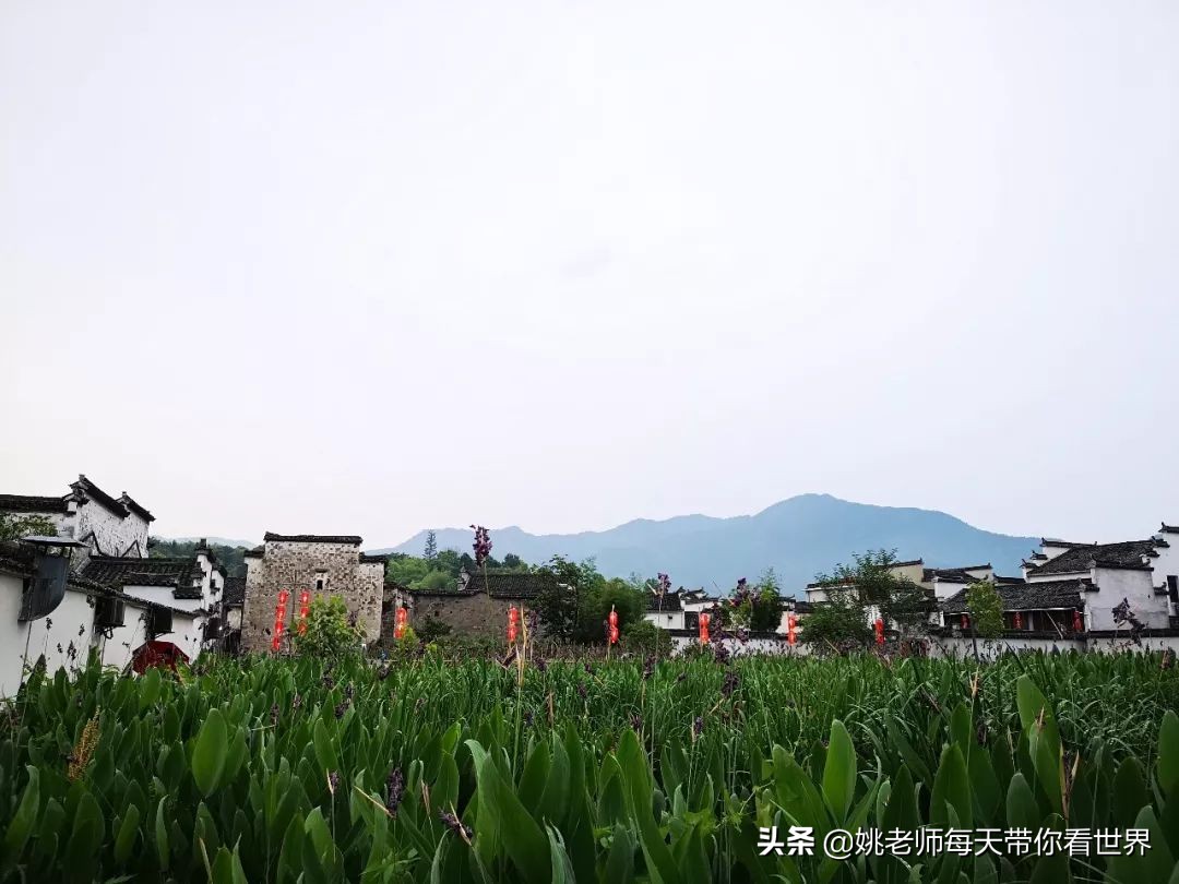 早晨的黄山悦榕庄,黄山悦榕庄特点