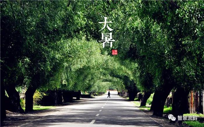 郭进拴神游索溪峪,郭进拴全部视频