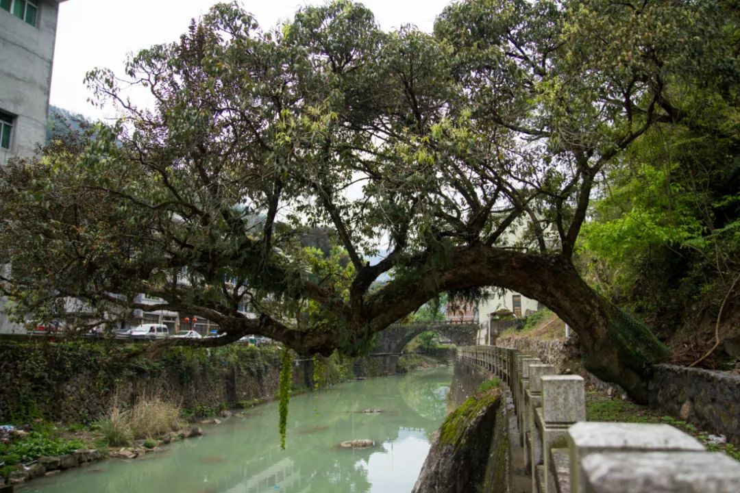 探访悬崖峭壁,大峡谷绝壁长廊