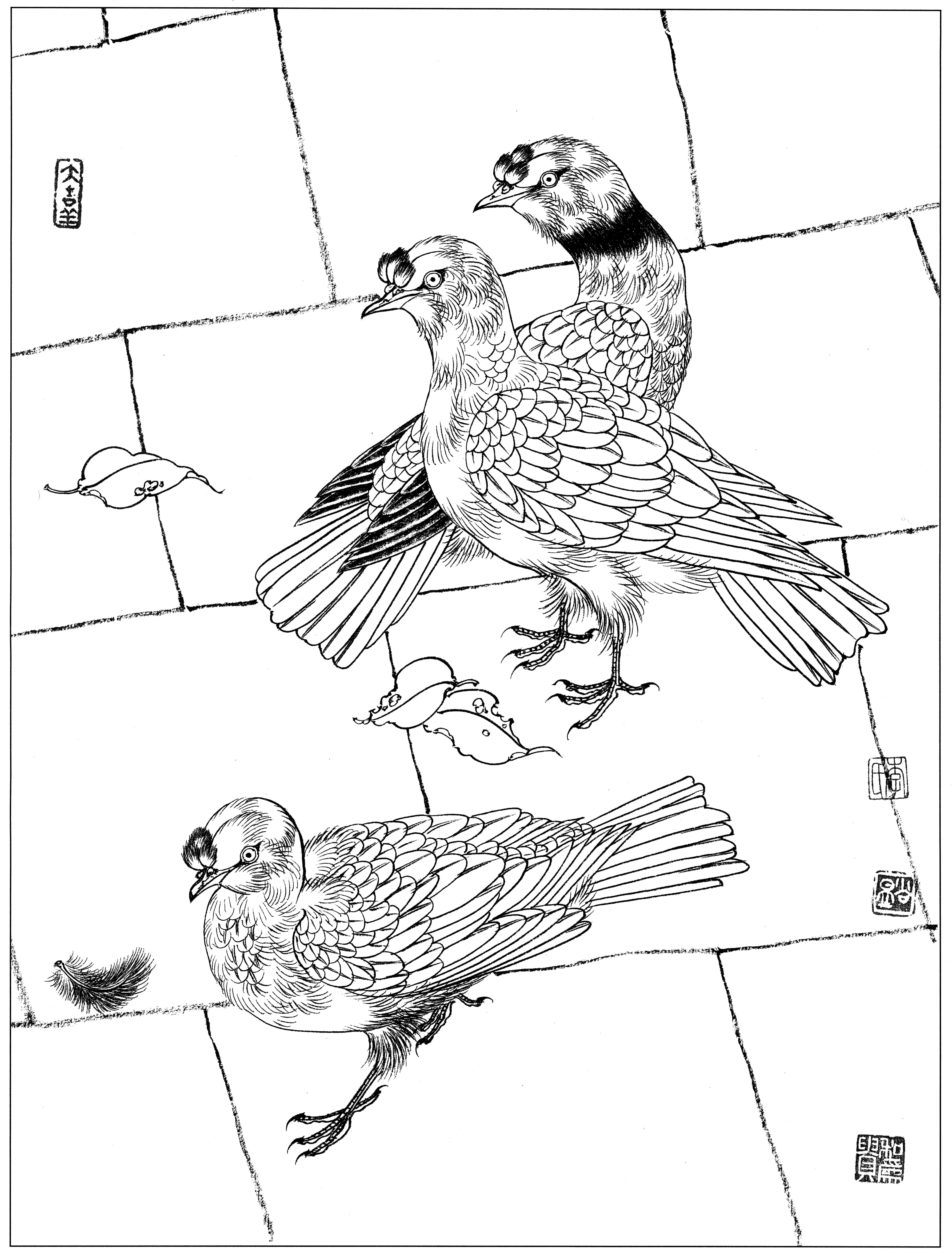 花鸟工笔四条屏白描高清大图,牡丹六尺横幅白描工笔花鸟底稿