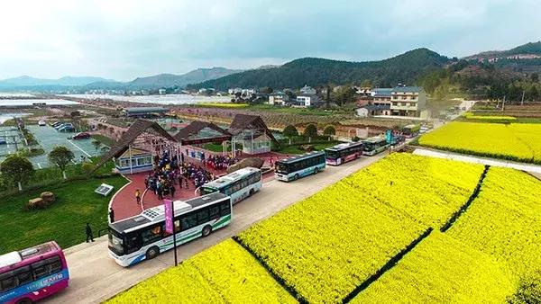 来仙海除了能把照片和记忆带回家，还有这些旅游商品任你挑