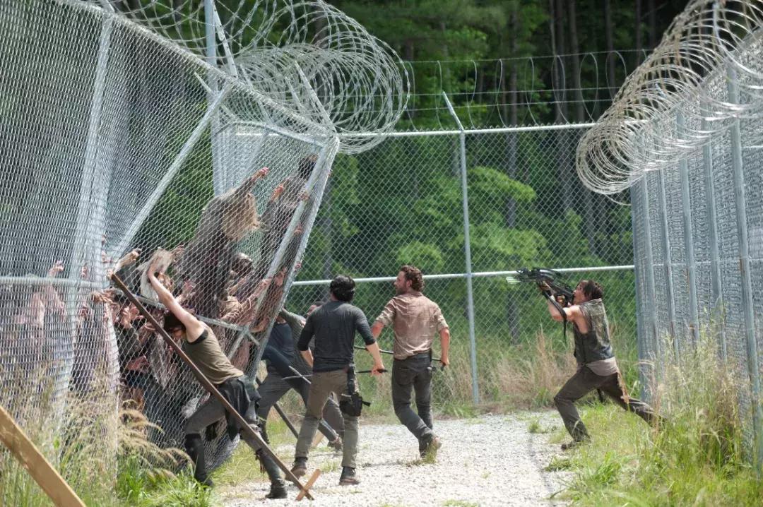 行尸走肉第一季为什么是神剧,行尸走肉为什么是神剧