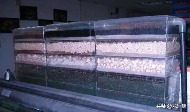 亚硝酸盐的硝化与氨化,硝化系统和亚硝酸盐哪个好