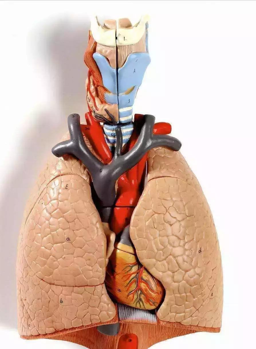 小宝宝咳嗽不肯吃药去打针有用吗,孩子反复咳嗽不要盲目的打针吃药