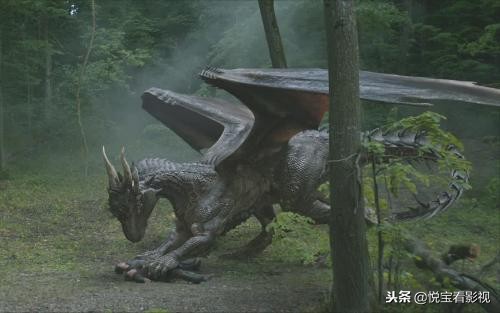比较东方龙和西方龙的电影,电影中的西方龙对比东方龙