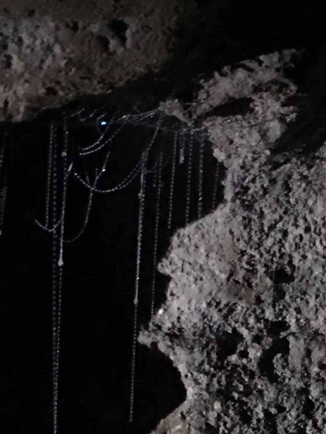 记忆中的旅行之新西兰(北岛)