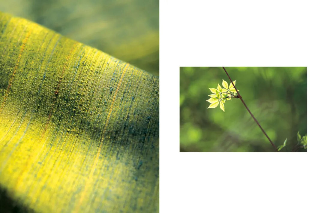 97岁奶奶绝色一生，被封人间国宝