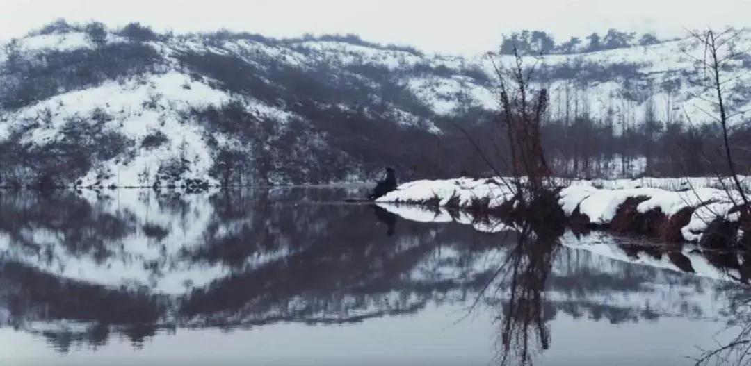 这实在令人惊奇：《将夜》竟也能穿越皮相“永夜月出”终极三问