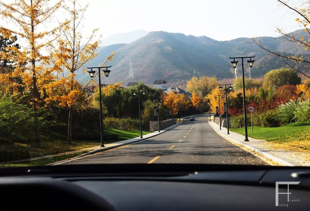 自驾|这个周末，我把怀柔的秋占为己有