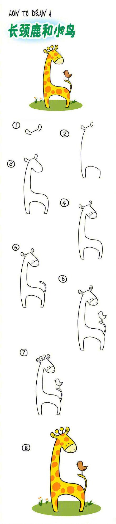 动物简笔画小猴子画法,简笔画动物可爱简单鳄鱼