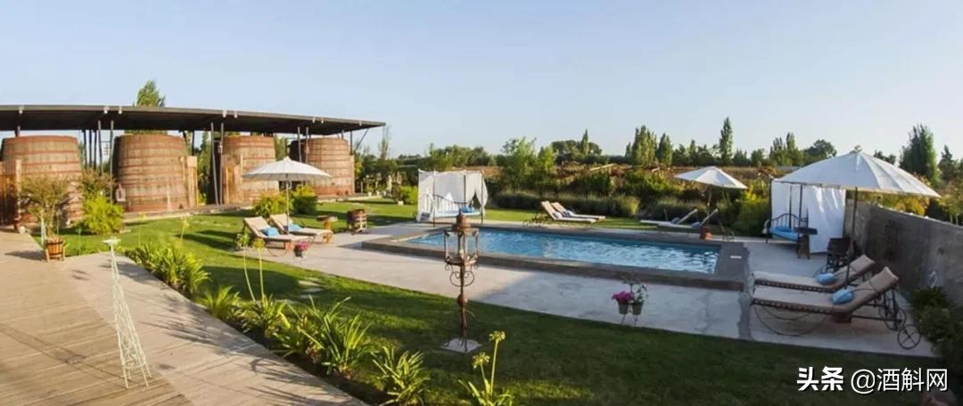 酿酒酿完以后的渣怎么处理,酿白酒剩下的酒糟怎么储存