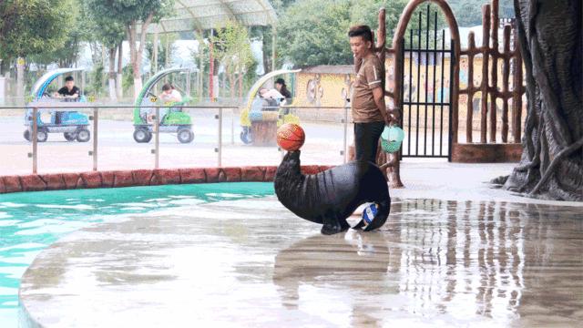 田园嘉乐比-国庆献豪礼!乐园超值游玩攻略