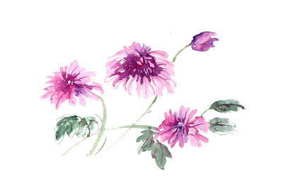 收藏100首名篇100个词牌由来,300常见词牌典故及对应千古名篇