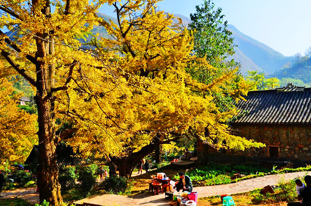 贵州的一个县市,煤炭远景储量380亿吨,气候好风景美可养老
